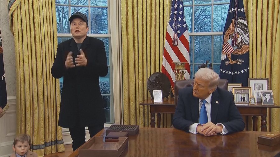 A kurseu para DOGE? Departamenti i Eficencës i Elon Musk nuk ekziston