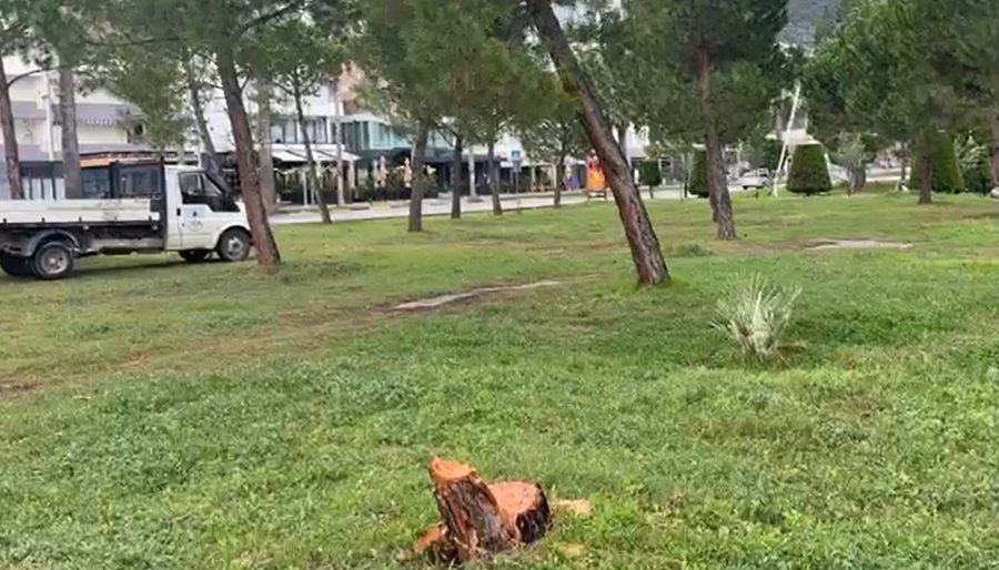 Pritet pisha në mes të natës në Lungomare, policia verifikon