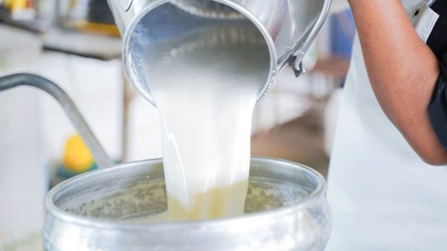 Shoqata e Blegtorëve kërkon barazimin e TVSH-së: Të