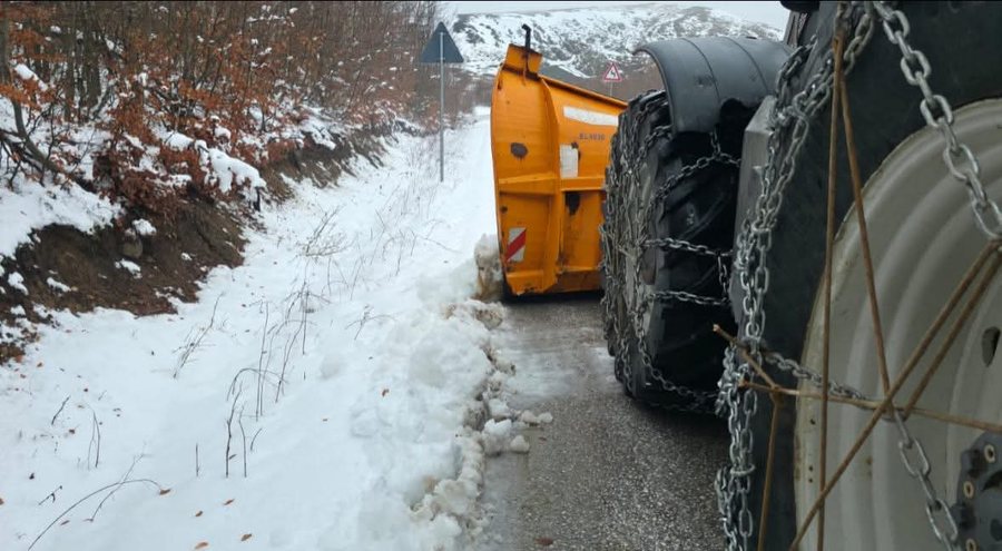Ngrica në aksin Vithkuq-Panarit, Bashkia Korçë në terren