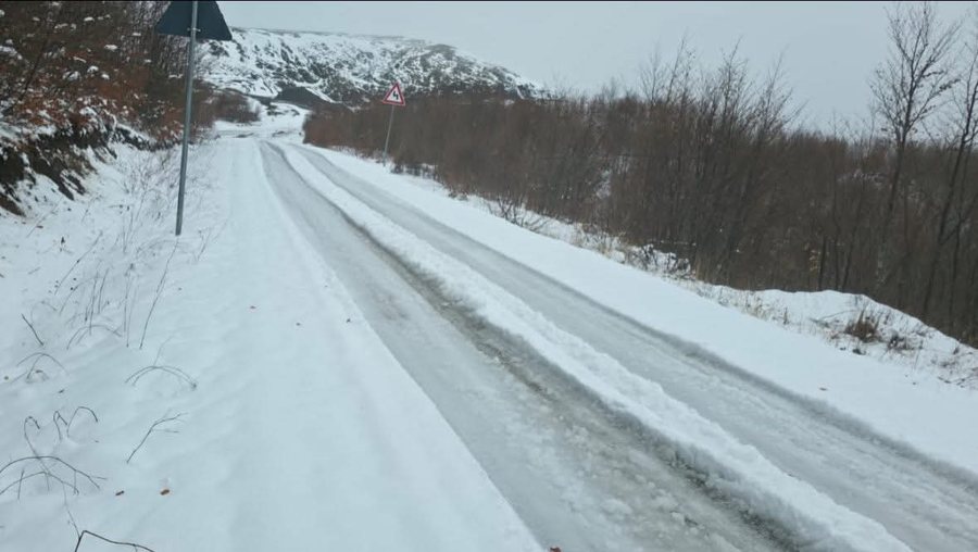 Ngrica në aksin Vithkuq-Panarit, Bashkia Korçë në terren
