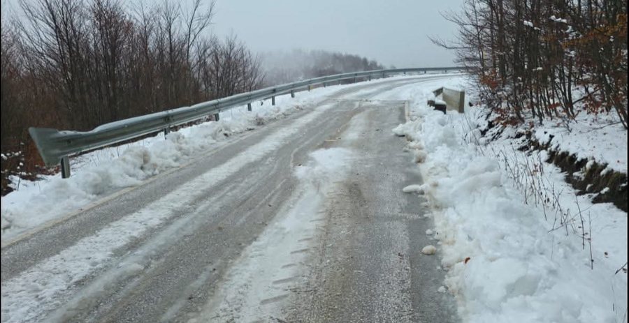 Ngrica në aksin Vithkuq-Panarit, Bashkia Korçë në terren