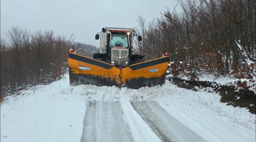 Ngrica në aksin Vithkuq-Panarit, Bashkia Korçë në terren