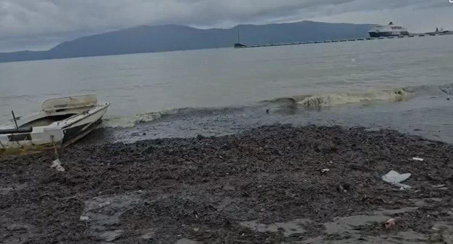 Ndotje masive në bregdetin e Vlorës
