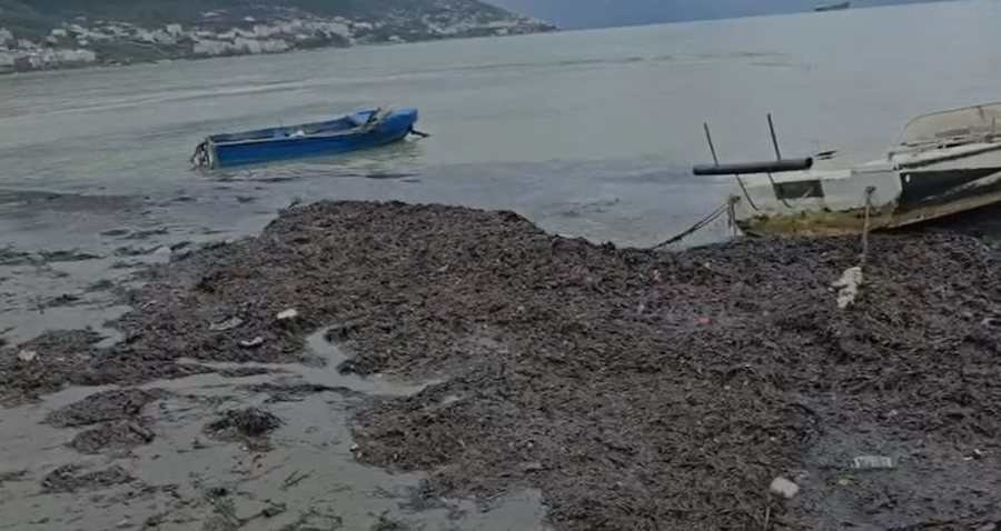 Ndotje masive në bregdetin e Vlorës