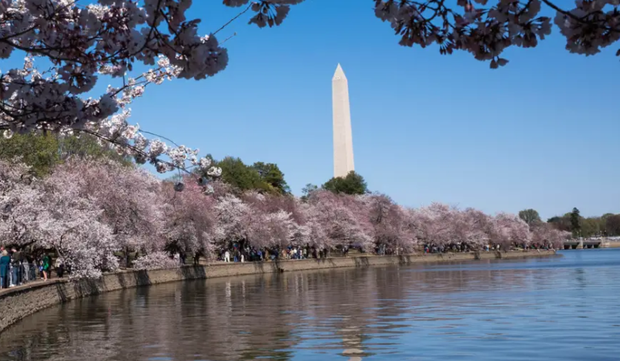 Parqet kombëtare të SHBA shtrenjtohen më shumë për