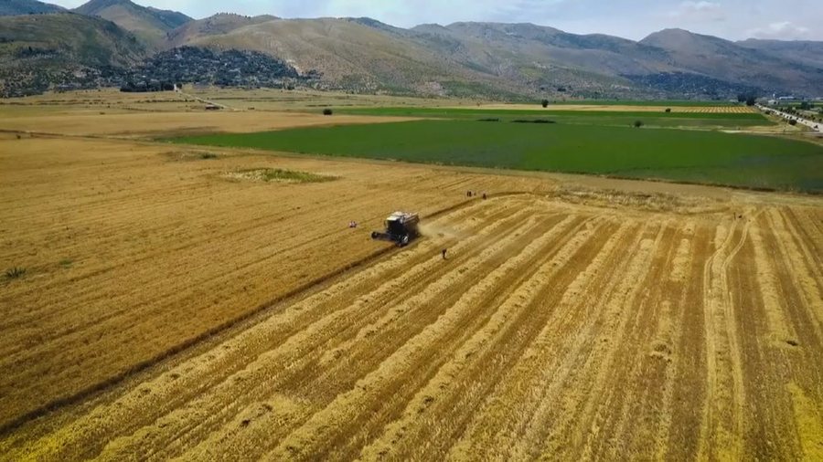 Sa fermerë kanë përfituar në vitin 2025 nga Skema