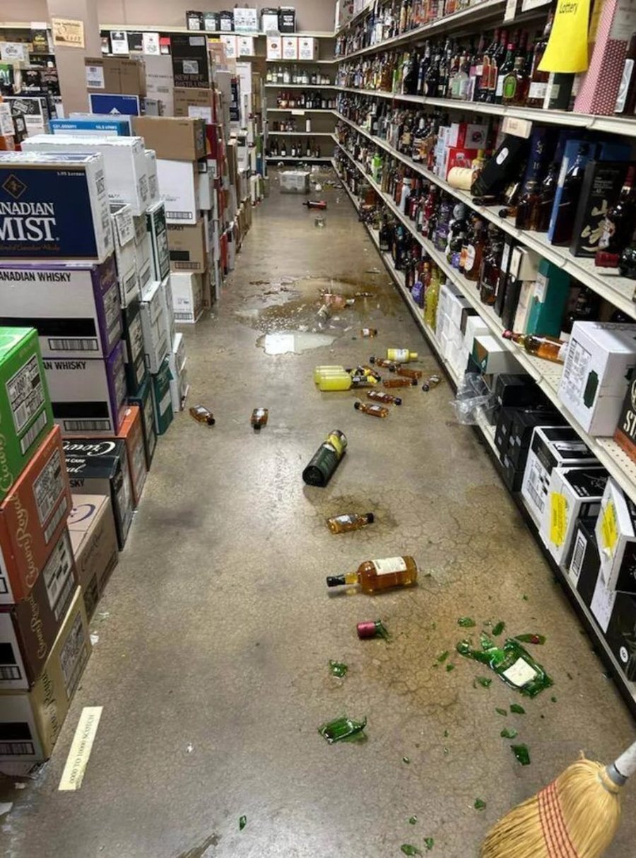 Bëri kërdinë me alkool, rakuni i dehur gjendet pa ndjenja në