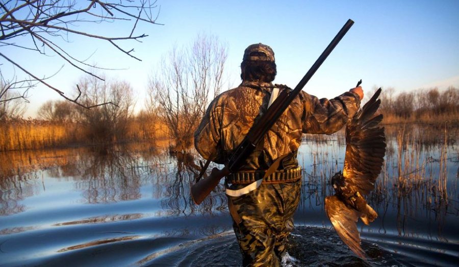 Miratohet projektligji për gjuetinë, ja çfarë parashikohet