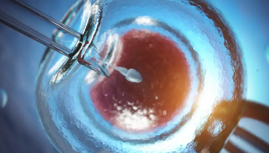 Studimi: Si u shpërnda në mbarë Europën një gjen