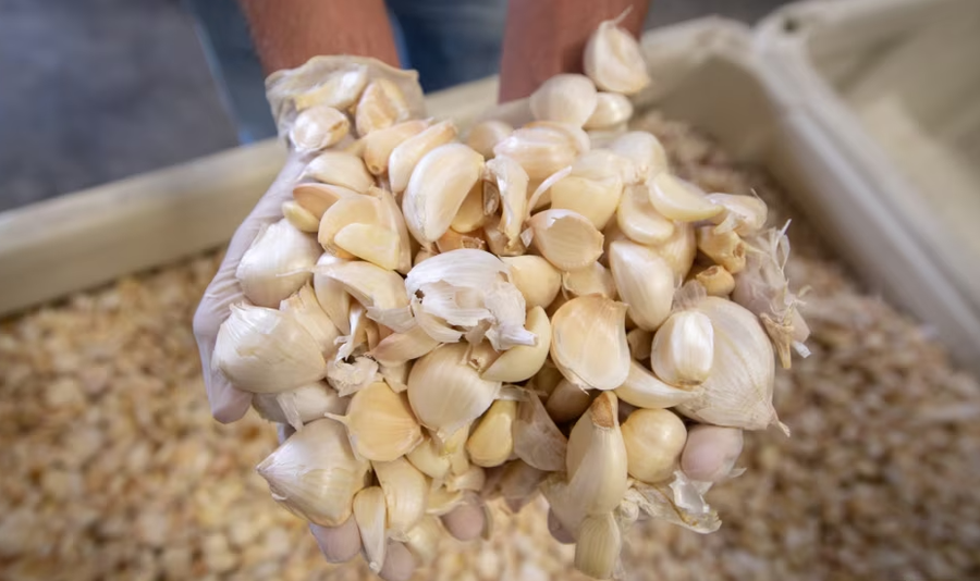 Nga elektronika tek ushqimi, Kosova shpenzoi gati 900 milion&euml; euro p&euml;r