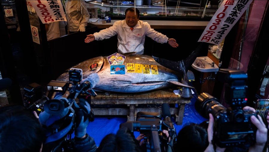 3,2 milionë $ për një peshk