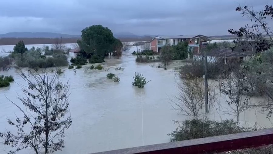 Vjosa arrin nivelin 9 metra, përmbyten rreth 200 hektarë tokë