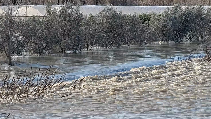 Semani del nga shtrati në Lushnje, fshati nën ujë