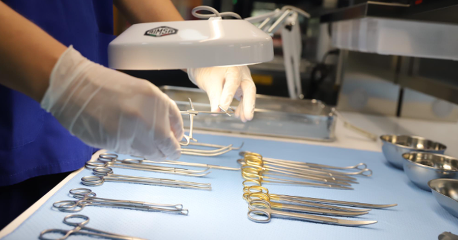 Qeveria merr vendim, procesi i sterilizimit tashm&euml; nuk do t&euml; ofrohet