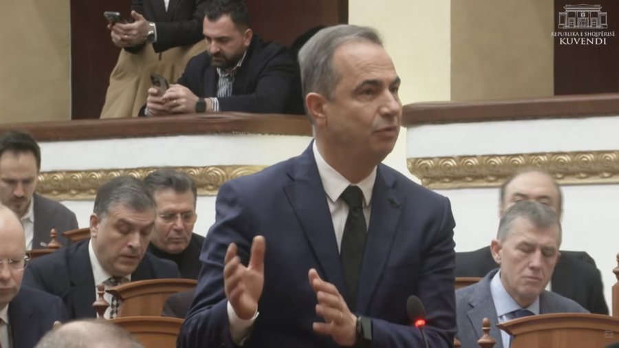 "Kuvendi po &ccedil;mendet", Bo&ccedil;i: 19 projektligje n&euml;