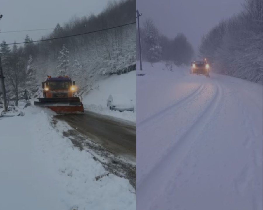 Trash&euml;sia arrin deri n&euml; 20 cm, rikthehen reshjet e bor&euml;s n&euml;