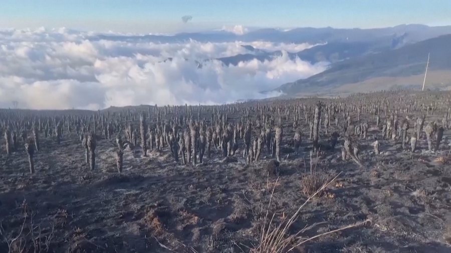Fenomeni q&euml; po alarmon shkenc&euml;tar&euml;t. "El nino" dhe