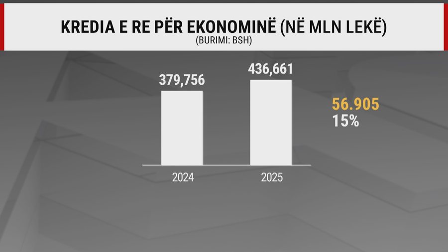 Shqiptar&euml;t s'kan&euml; frik&euml; nga kredia, vitin e shkuar u