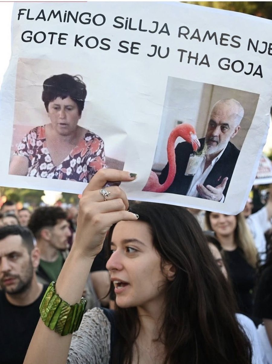 “Revolucioni imgjinar i flamingove”, Rama poston pankarta me meme
