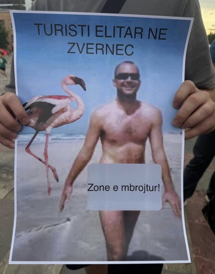 &ldquo;Revolucioni imgjinar i flamingove&rdquo;, Rama poston pankarta me meme