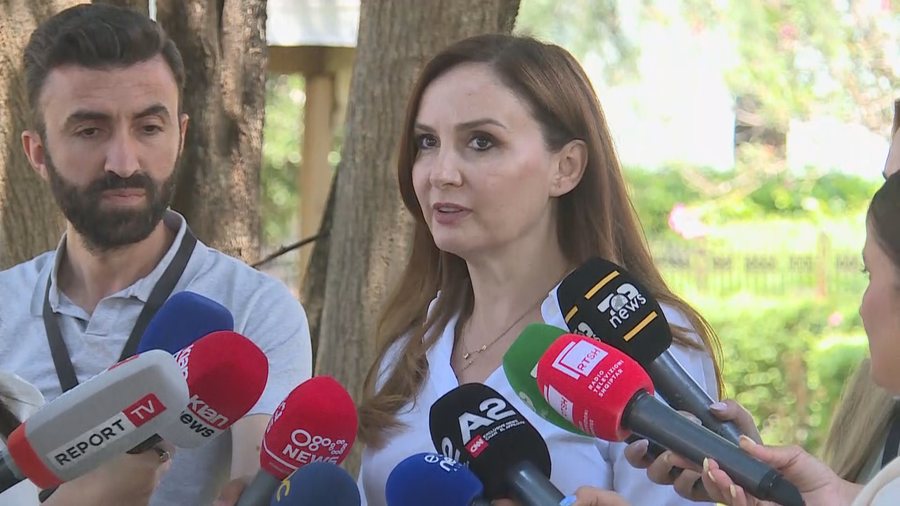 Amendamenti p&euml;r zonat e mbrojtura, PS dhe PD t&euml; k&euml;naqura me