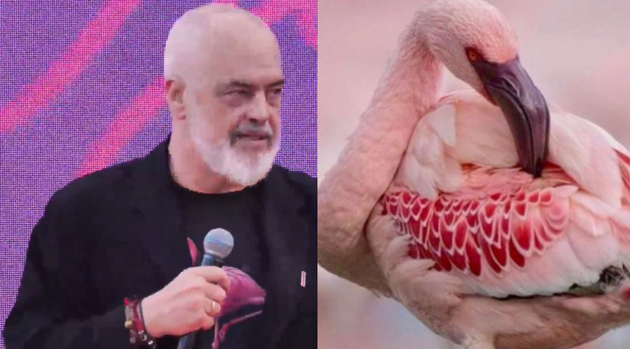 Rama vendos flamingot n&euml; profilin e Facebook-ut
