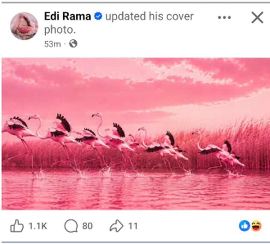 Rama vendos flamingot n&euml; profilin e Facebook-ut
