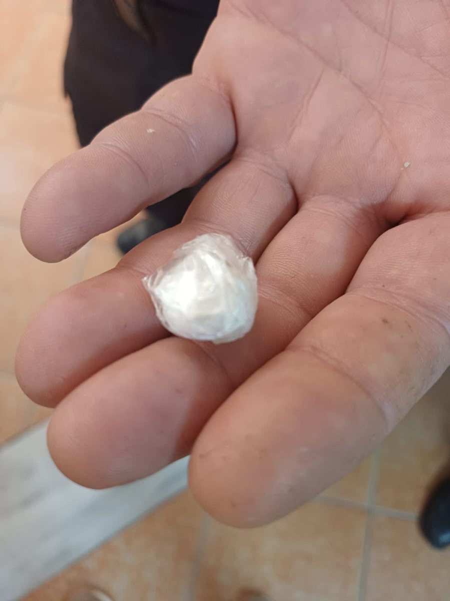 Tentoi t&rsquo;i fus&euml; nj&euml; t&euml; paraburgosuri drog&euml;, pezullohet