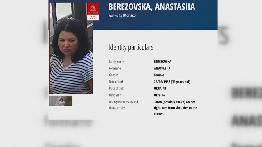 Nj&euml; tatuazh si &ldquo;gjarpri&rdquo;, policia identifikon gruan q&euml;