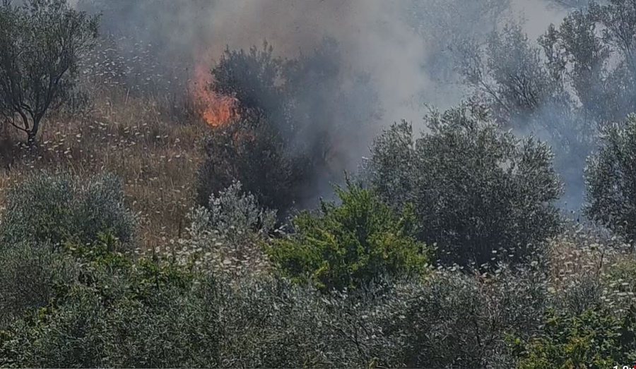 P&euml;rfshihet nga flak&euml;t ullishtja n&euml; Fier