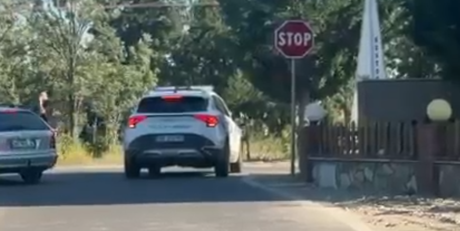 Plagosje me thik&euml; n&euml; Sh&euml;ngjin
