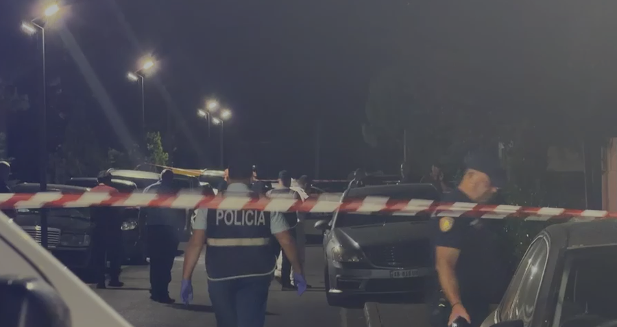 40-vje&ccedil;ari q&euml; u ekzekutua n&euml; La&ccedil; me 4 emra, reagon