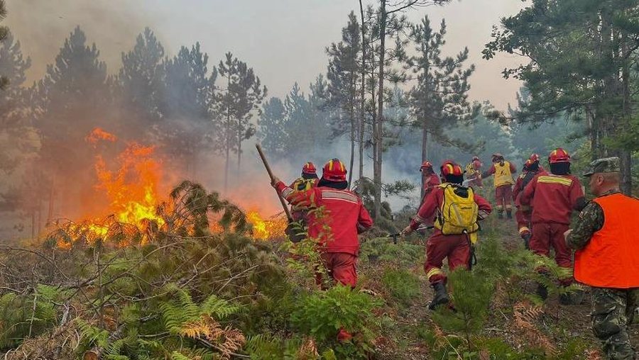 Zjarrfik&euml;sit do t&euml; paguhen p&euml;r or&euml;t shtes&euml;, nga 20%
