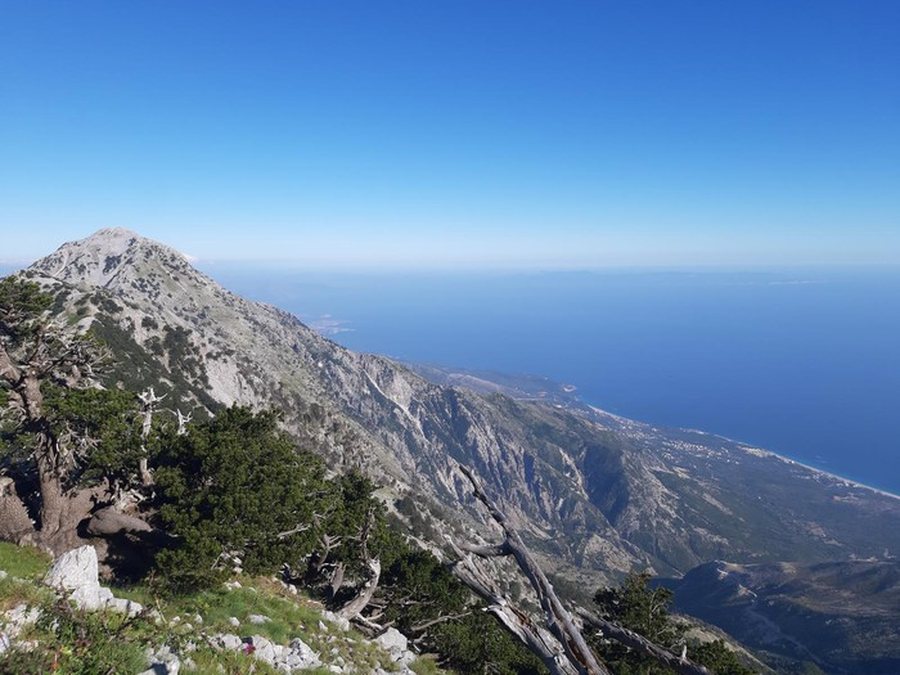 Humbën orientimin në malin e Çikës, shpëtohen dy
