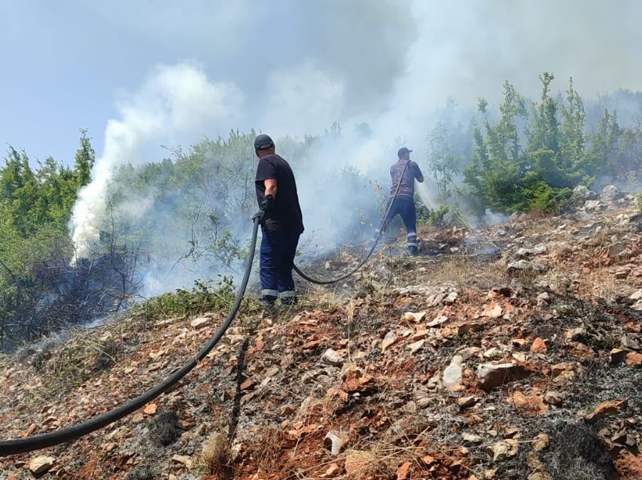 Zjarr masiv në zonën e Qafë Thanës, MZHSH në terren