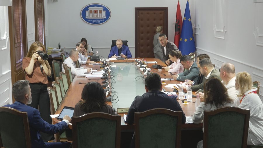 Pensionet, NATO dhe koncerti i West, PD quan antikushtetuese aktet normative