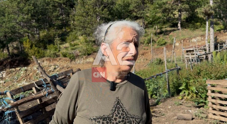 Ngjarja tragjike në Lozhan, nëna e Violand Braçellarit thyen