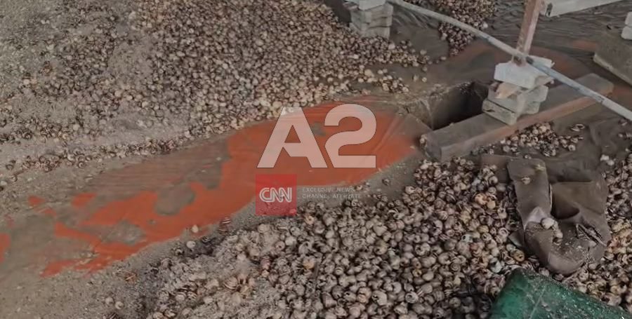 Situatë alarmante nga reshjet në juglindje, dëmtohet fabrika e