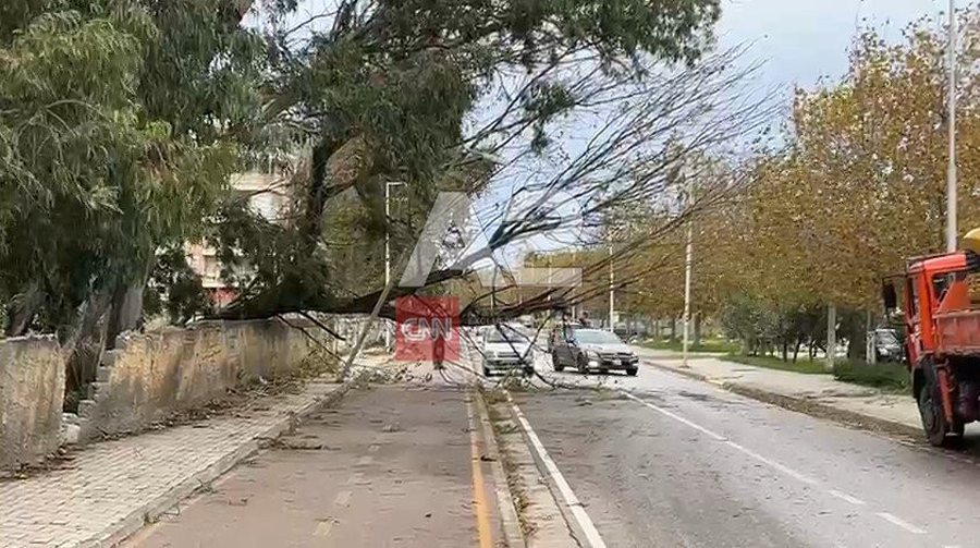 Era e fortë në Vlorë rrëzon pemët, bllokohen disa