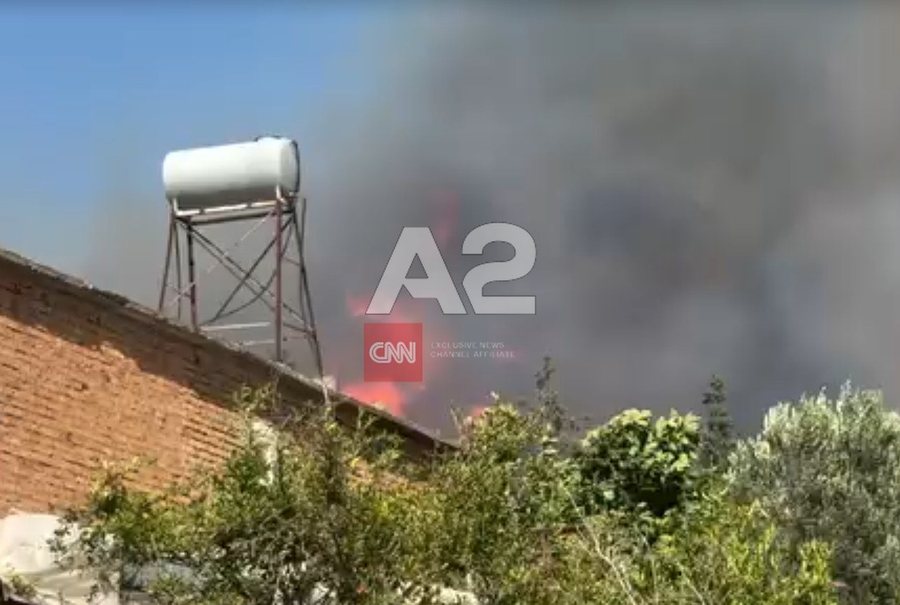 Difficult situation due to fire in Vlora, wind is rapidly spreading the flames