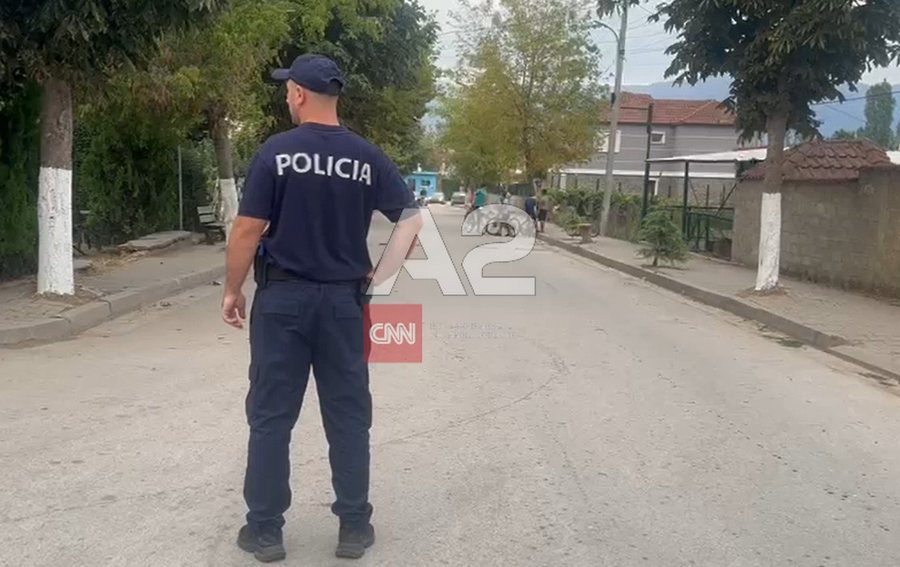 E rëndë në Maliq, vritet me thikë një 14-vjeçar