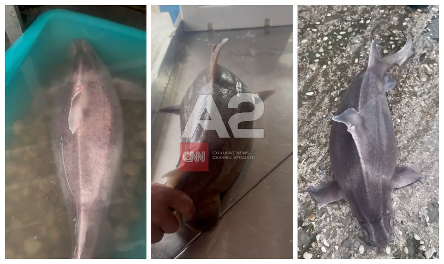 Kapet peshkaqeni ‘Derr’ në Vlorë