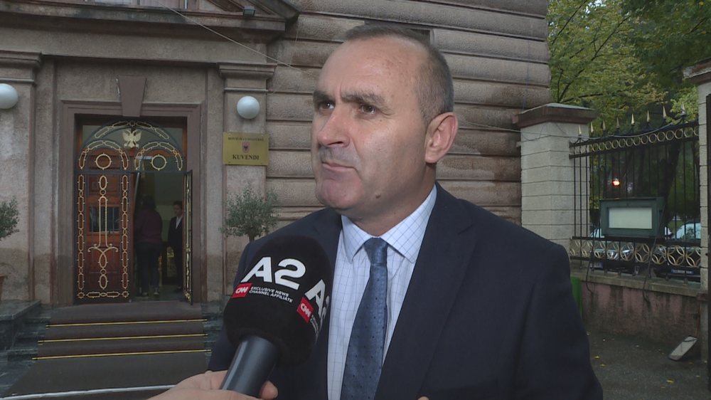 Kushtetuesja, Manja: Afatet janë kushtetuese, nuk i ndryshon dot Presidenti