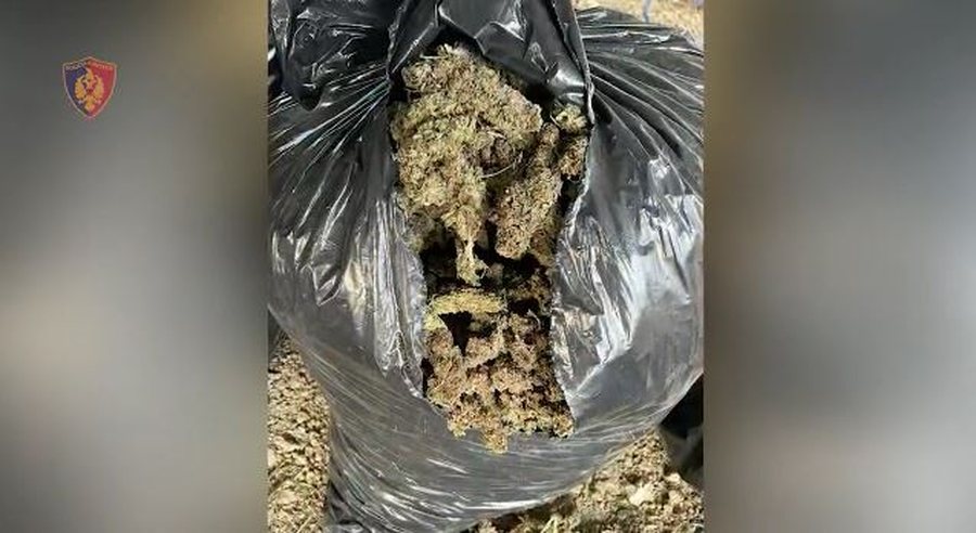 60 kg of cannabis seized, two arrested in Tirana
