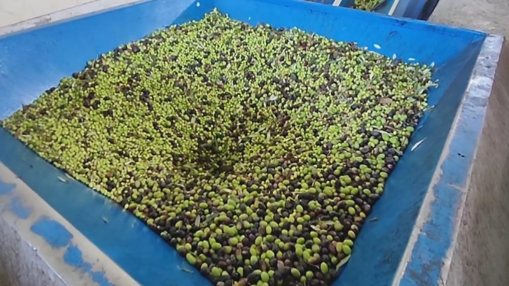 Eksportet “Made in Albania”, vështirësitë në