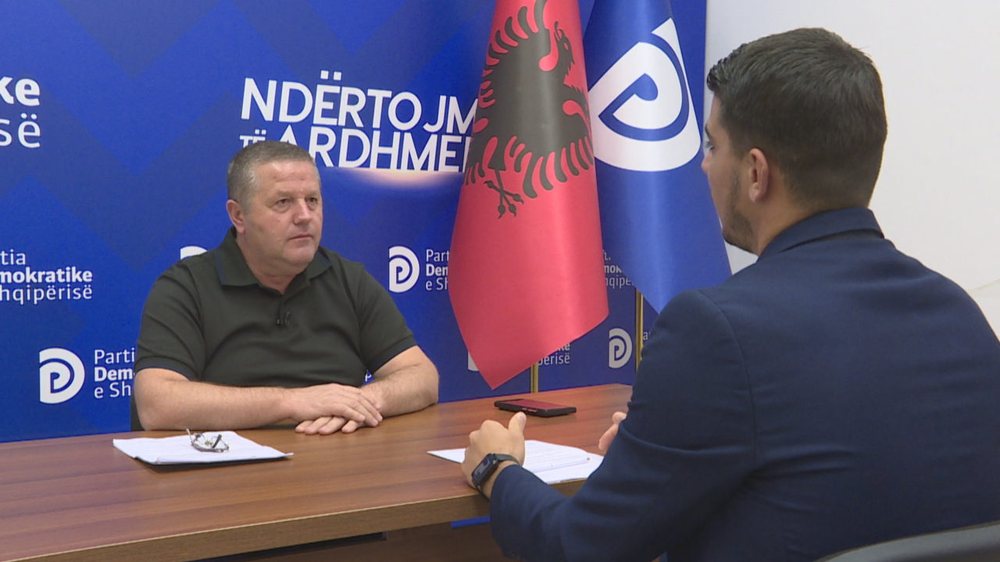 Ristrukturimi i PD zyrtare, Zeneli: Organizimi në bazë ka probleme,