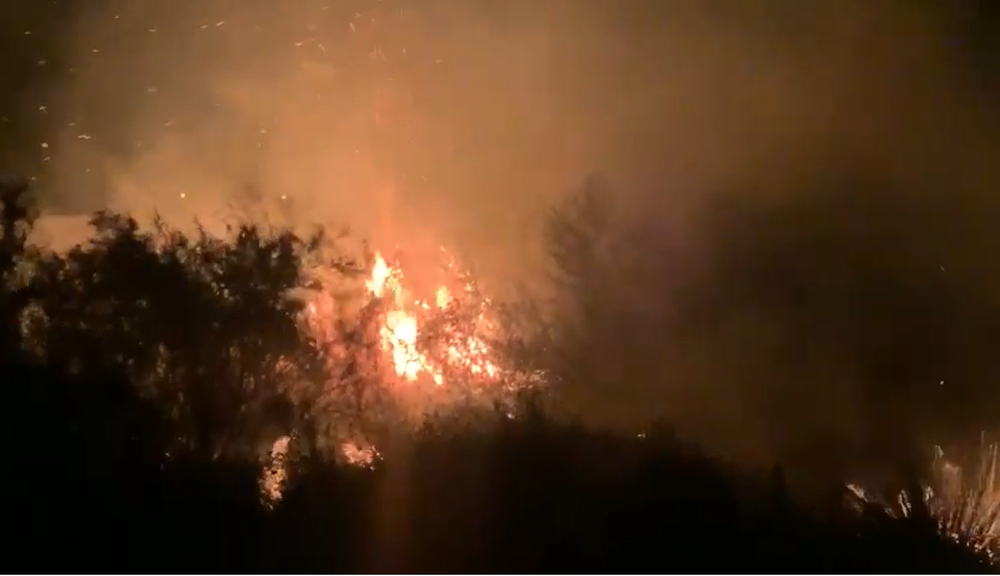 Zjarr në Nartë, rrezikohen disa banesa