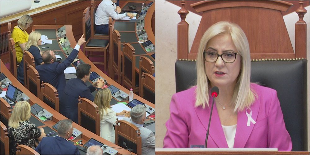 Drejtimi i grupit të PD-së, Kuvendi i dyzuar, përsëri nuk