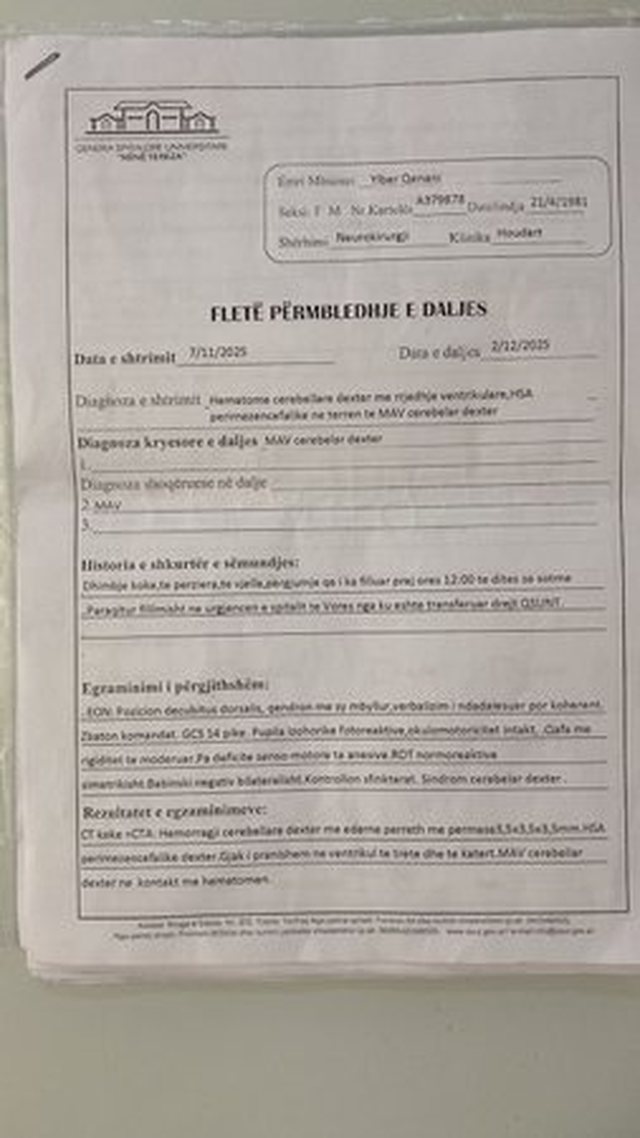 &ldquo;Nj&euml; baba lufton p&euml;r jet&euml;n&rdquo;, Ylber Qenani k&euml;rkon